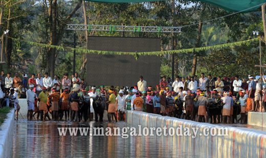 Devupoonje Sankupoonje Jodukare Kambala kicks off at Vamanjoor